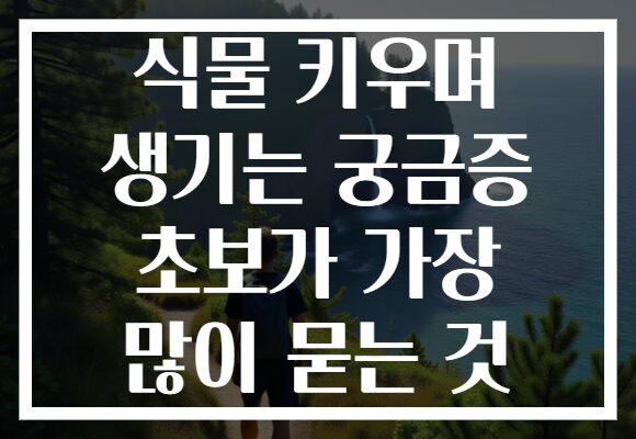 식물 키우며 생기는 궁금증 초보가 가장 많이 묻는 것