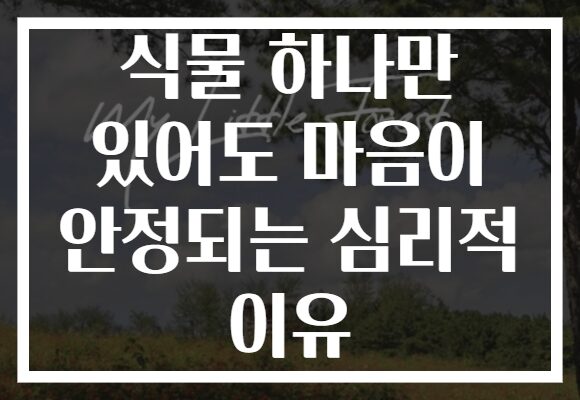 식물 하나만 있어도 마음이 안정되는 심리적 이유
