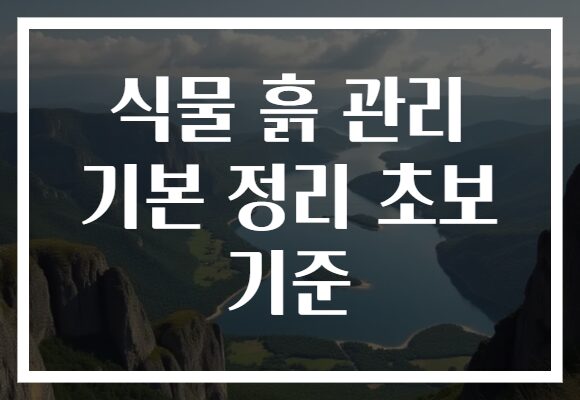 식물 흙 관리 기본 정리 초보 기준