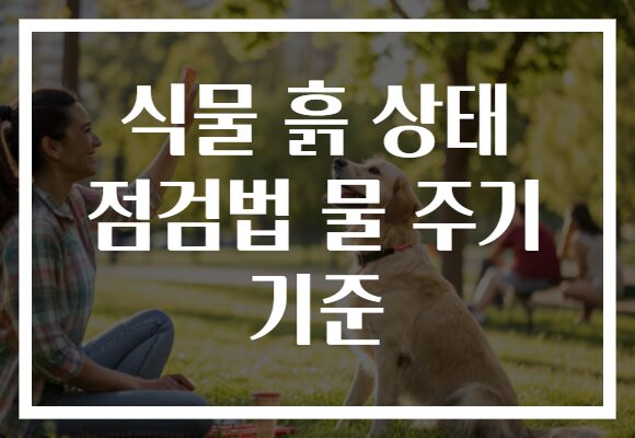 식물 흙 상태 점검법 물 주기 기준