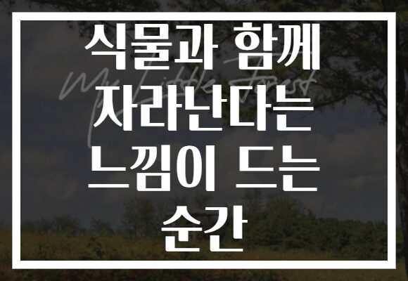 식물과 함께 자라난다는 느낌이 드는 순간