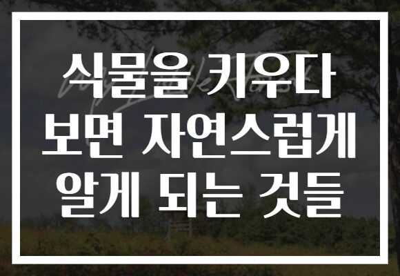 식물을 키우다 보면 자연스럽게 알게 되는 것들