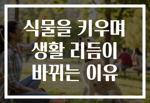 식물을 키우며 생활 리듬이 바뀌는 이유