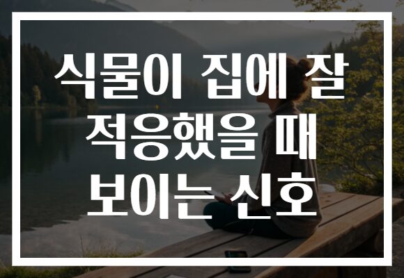 식물이 집에 잘 적응했을 때 보이는 신호