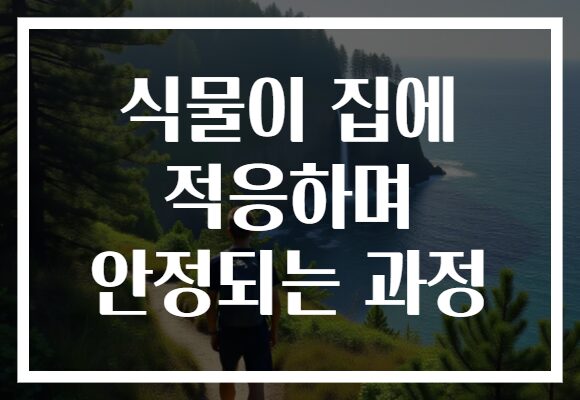 식물이 집에 적응하며 안정되는 과정