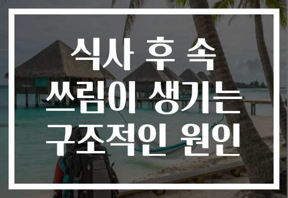 식사 후 속 쓰림이 생기는 구조적인 원인