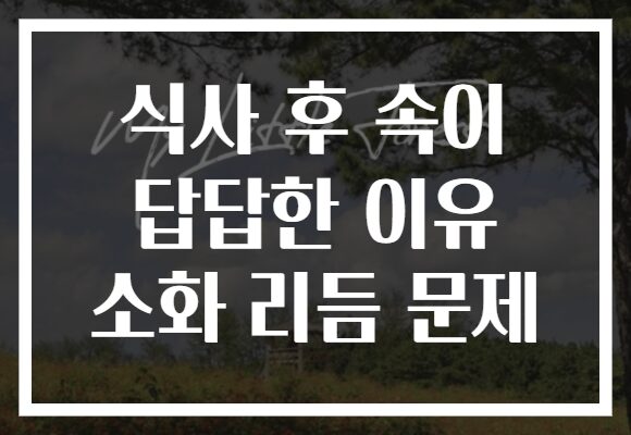 식사 후 속이 답답한 이유 소화 리듬 문제