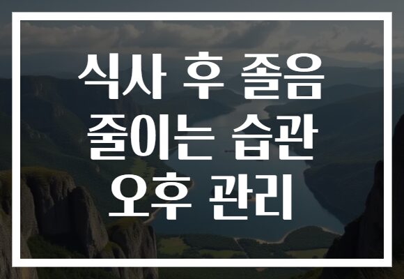식사 후 졸음 줄이는 습관 오후 관리