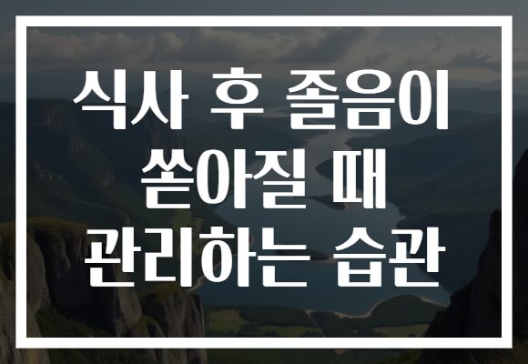 식사 후 졸음이 쏟아질 때 관리하는 습관