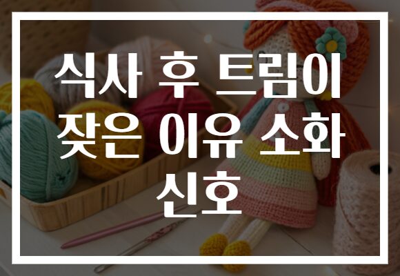 식사 후 트림이 잦은 이유 소화 신호