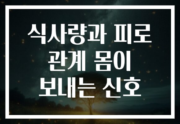 식사량과 피로 관계 몸이 보내는 신호