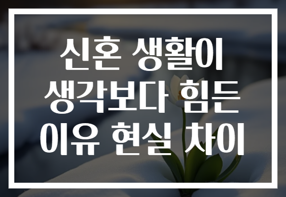 신혼 생활이 생각보다 힘든 이유 현실 차이