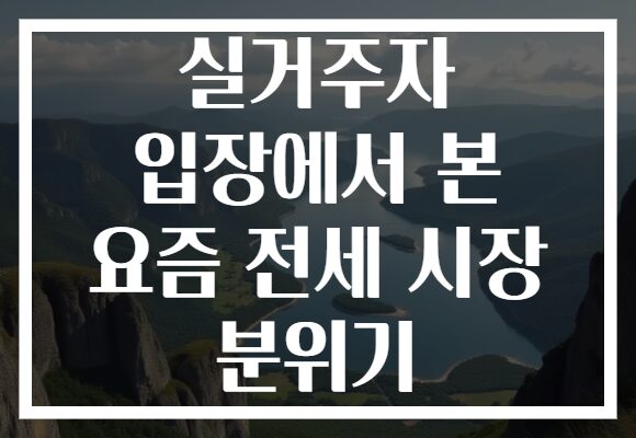 실거주자 입장에서 본 요즘 전세 시장 분위기