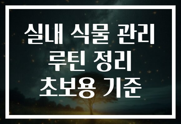 실내 식물 관리 루틴 정리 초보용 기준