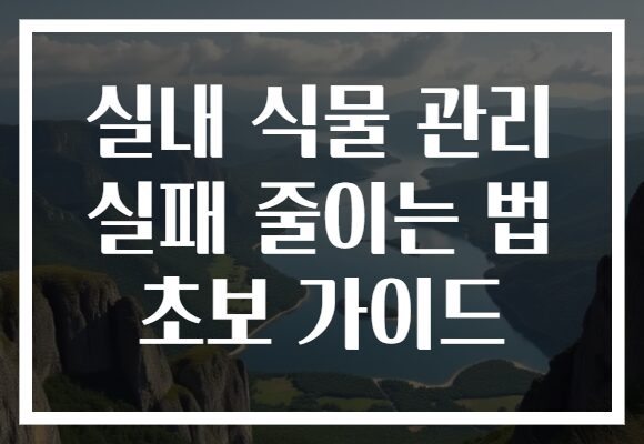 실내 식물 관리 실패 줄이는 법 초보 가이드