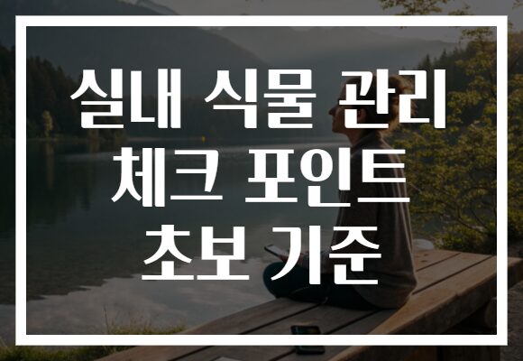 실내 식물 관리 체크 포인트 초보 기준