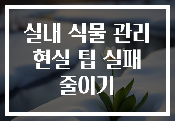 실내 식물 관리 현실 팁 실패 줄이기