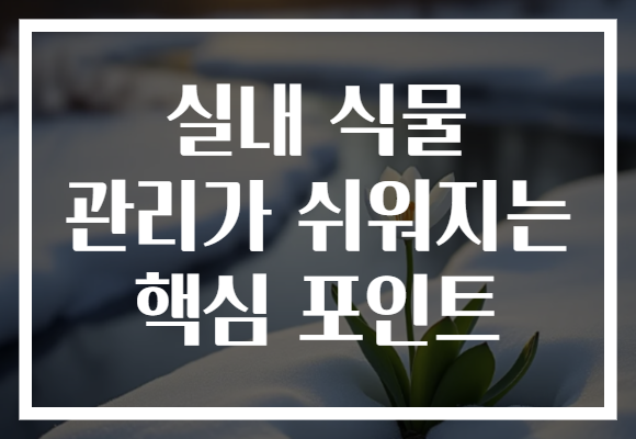 실내 식물 관리가 쉬워지는 핵심 포인트