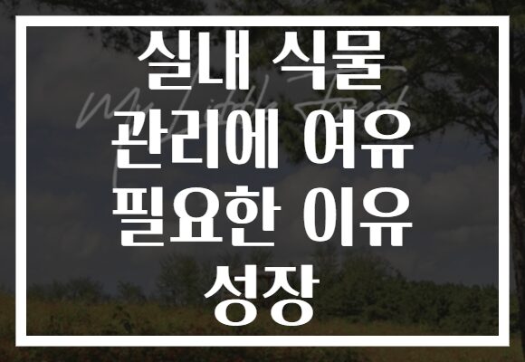 실내 식물 관리에 여유 필요한 이유 성장