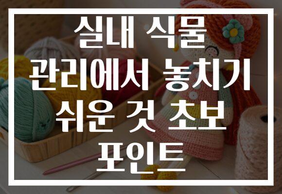 실내 식물 관리에서 놓치기 쉬운 것 초보 포인트