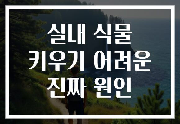 실내 식물 키우기 어려운 진짜 원인