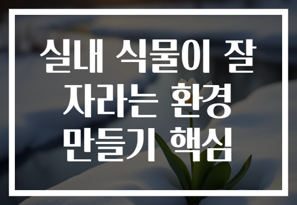 실내 식물이 잘 자라는 환경 만들기 핵심