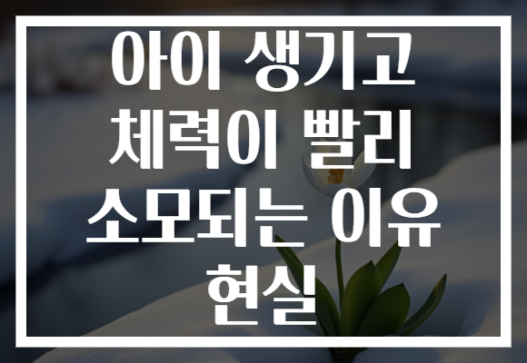 아이 생기고 체력이 빨리 소모되는 이유 현실