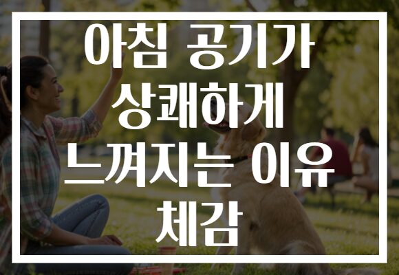 아침 공기가 상쾌하게 느껴지는 이유 체감