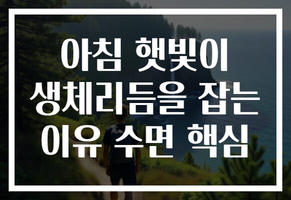아침 햇빛이 생체리듬을 잡는 이유 수면 핵심