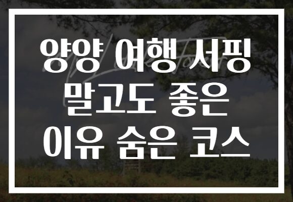 양양 여행 서핑 말고도 좋은 이유 숨은 코스