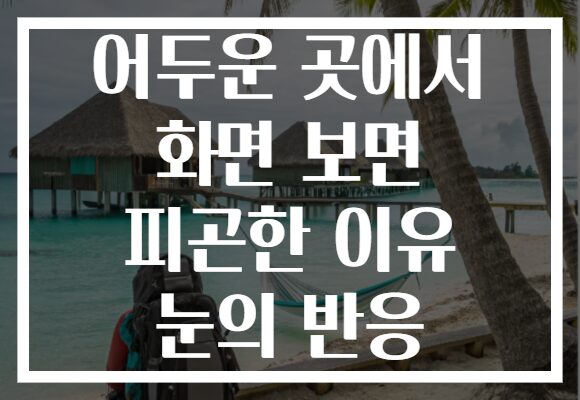 어두운 곳에서 화면 보면 피곤한 이유 눈의 반응
