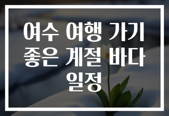 여수 여행 가기 좋은 계절 바다 일정