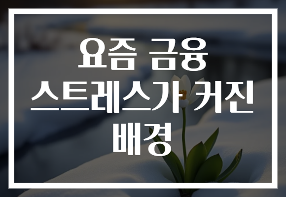 요즘 금융 스트레스가 커진 배경