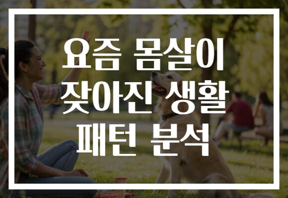 요즘 몸살이 잦아진 생활 패턴 분석