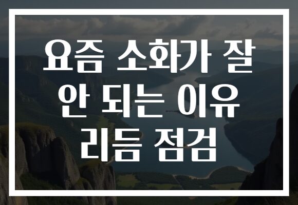 요즘 소화가 잘 안 되는 이유 리듬 점검