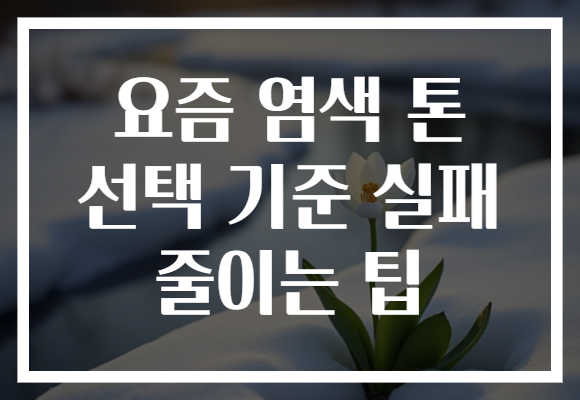 요즘 염색 톤 선택 기준 실패 줄이는 팁