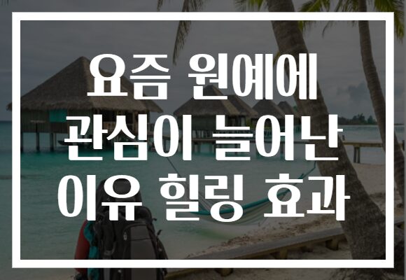 요즘 원예에 관심이 늘어난 이유 힐링 효과