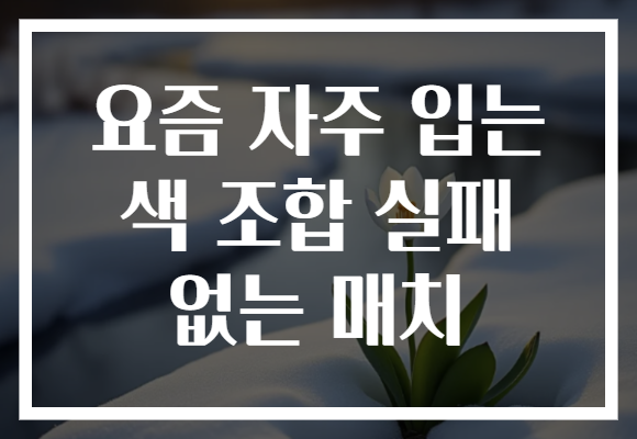 요즘 자주 입는 색 조합 실패 없는 매치