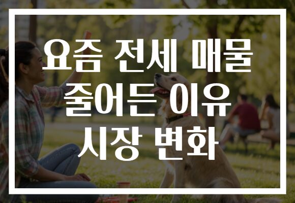 요즘 전세 매물 줄어든 이유 시장 변화