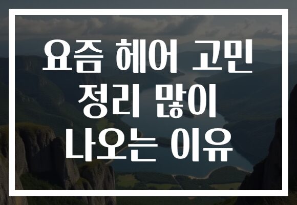 요즘 헤어 고민 정리 많이 나오는 이유