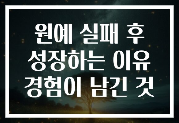 원예 실패 후 성장하는 이유 경험이 남긴 것