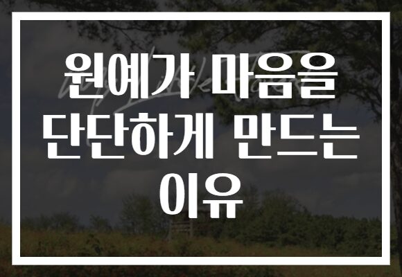 원예가 마음을 단단하게 만드는 이유