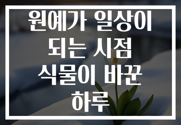 원예가 일상이 되는 시점 식물이 바꾼 하루
