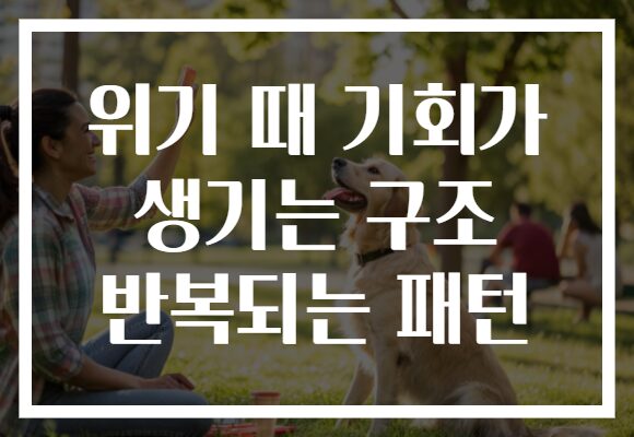 위기 때 기회가 생기는 구조 반복되는 패턴