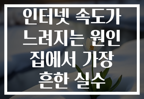 인터넷 속도가 느려지는 원인 집에서 가장 흔한 실수