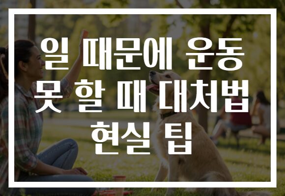 일 때문에 운동 못 할 때 대처법 현실 팁