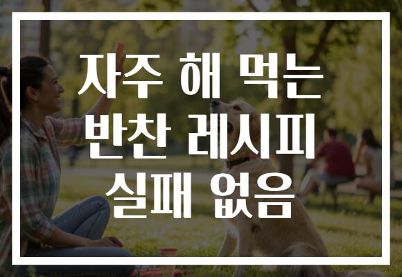 자주 해 먹는 반찬 레시피 실패 없음