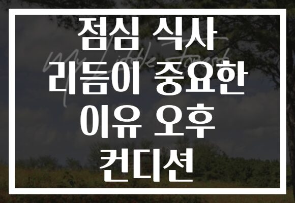 점심 식사 리듬이 중요한 이유 오후 컨디션