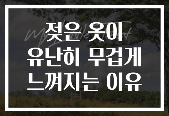 젖은 옷이 유난히 무겁게 느껴지는 이유