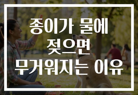 종이가 물에 젖으면 무거워지는 이유